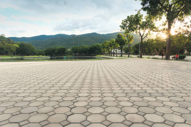 Best Best Driveway Pavers  in Lake Mary Jane, FL